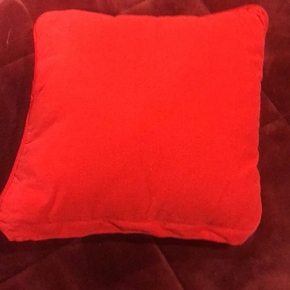 Pillow Needle Point Christmas Pillow Vintage